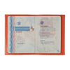 Louis Grained Leather Passport Holder