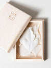 HA KO Paper Incense, Box of 5