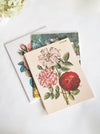 John Derian Everything Roses Notebook Set
