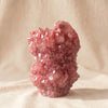 Crystal Vase Medium Rose by Isaac Monte