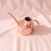 Hand-finished copper watering can seen from above, showing the raised neck and open mouth, by Jatex International