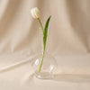 A clear glass vase with a bulbous base, a flared neck, and small raised bubble details, photographed against a draped beige fabric backdrop.